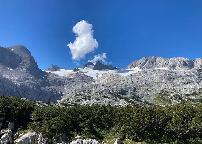 Appartement Elisabeth *